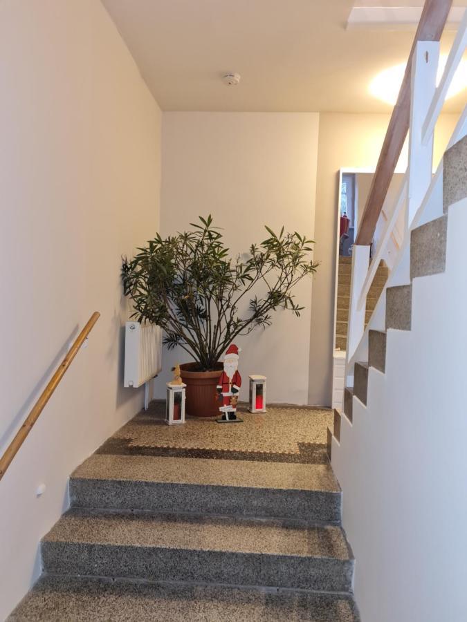 Appartamento Haus Fernblick Kurort Bärenburg Esterno foto