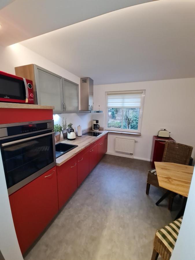Appartamento Haus Fernblick Kurort Bärenburg Esterno foto